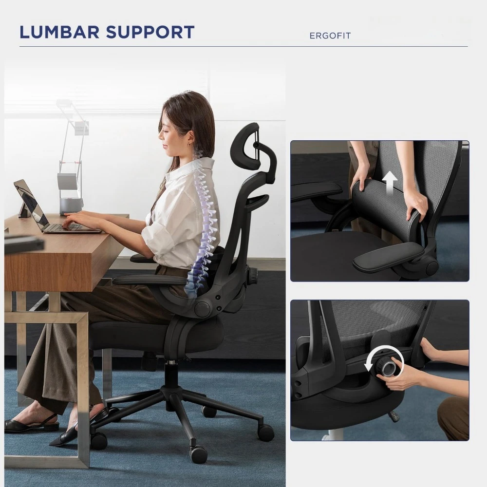 

Ergo Fit Ergonomic Mesh Office Chair High Back Adjustable Lumbar Support Headrest and Adjustable Flip-up Armrests, Customized