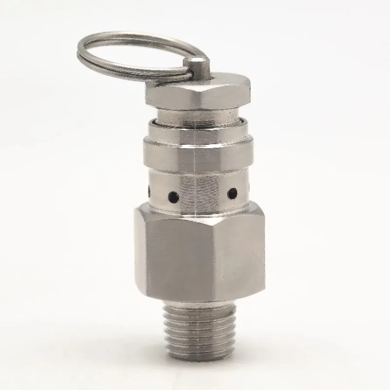 วาล์วระบายไอเสียสแตนเลสคุณภาพสูงขนาดเล็ก SS304 ขนาด 1/4\" 1/2\" เกลียว BSPT NPT แบบตัวผู้ ความดัน 1 บาร์ สำหรับปล่อยก๊าซ