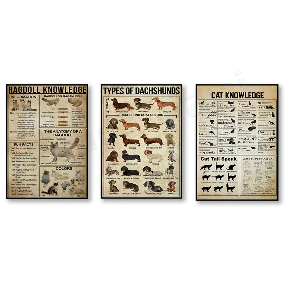 

Dachshund knowledge poster, ragdoll knowledge poster, cat knowledge poster, dog art, funny cat art, cat lovers, animal gifts.