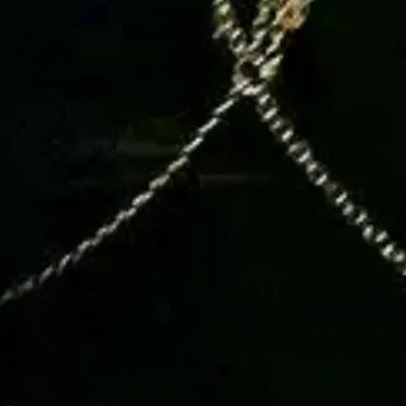 Sequin Tassel Chest…