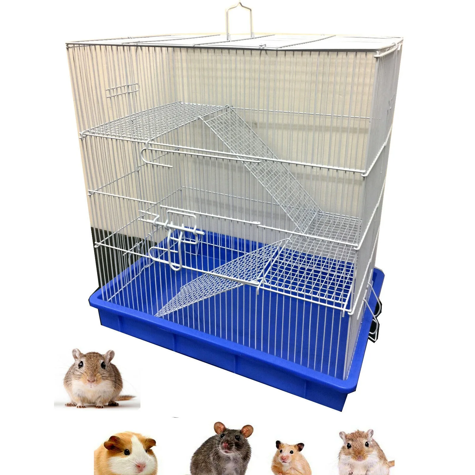 

Small Animal Sugar Glider Guinea Pig Ferret Rat Mice Hamster Gerbil Critter Cage United States