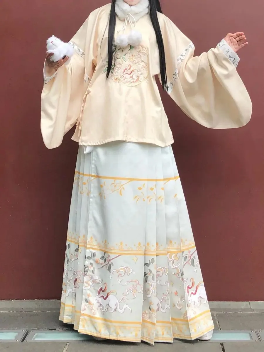 2023 Chinese New Year Hanfu Embroidered Round Neck Large Ma Mian skirt Large sleeve Winter style