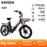KAISDA K201 Adult Women Electric Bike 250W Motor Electric Bike 36V10.4Ah Battery 20 Inch Rubber Tire Mountain Snow Electric Bike