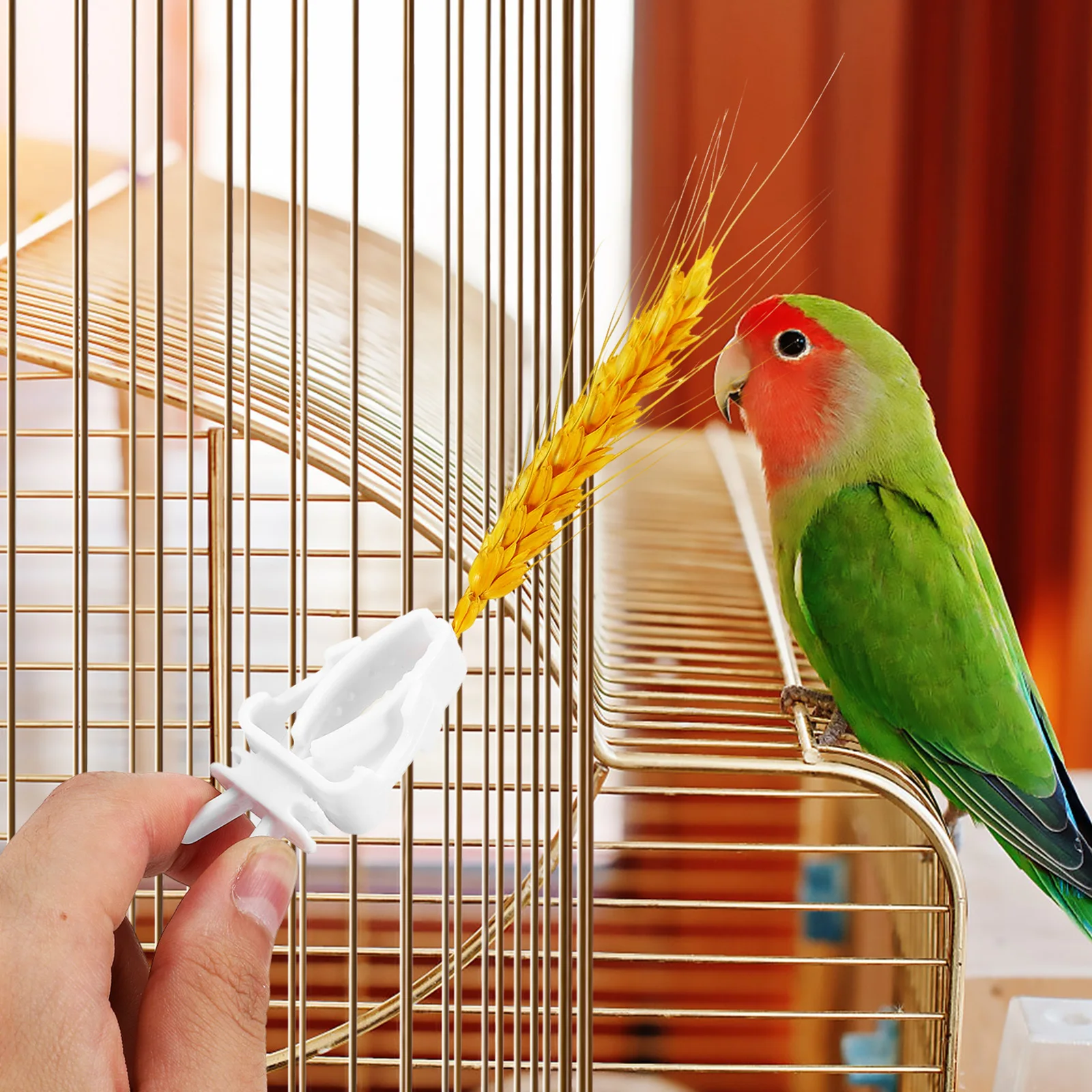 

4Pcs Bird Cage Food Holder Clips Flexible ABS Plastic Parrot Clip on Feeder for Bird Cage Accessories Canaries Conures Feeding