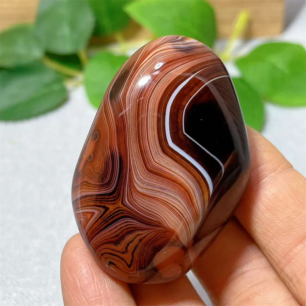 Carnelian Agate Palm Stone Quartz Specimen Crystal Natural Reiki Gemstone Healing Mineral Specimen