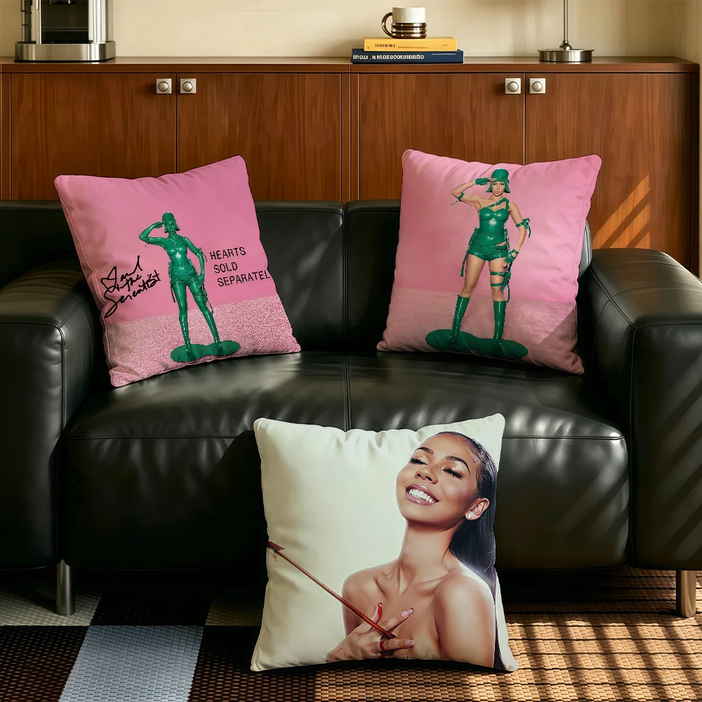 Singer M-Mariah the S-Scientist cushion cover Comfortable Decorative For Bedroom Living room Dormitory Picnic and Holiday