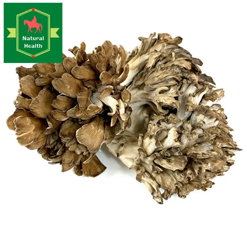 Maitake,Grifola frondosa