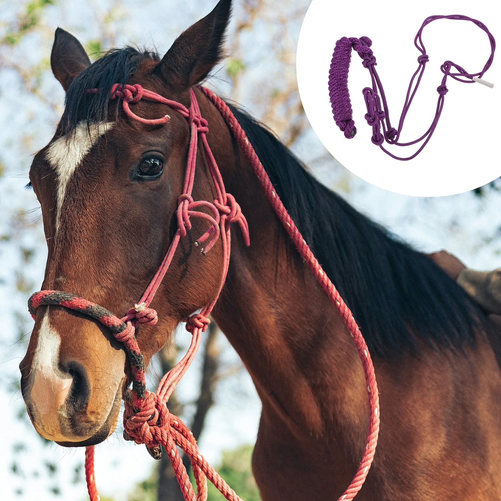 

Профессиональная устойчивая к износу легкая тренировочная поводковая упряжь из тканевого плетения для лошадей, портативное конное снаряжение