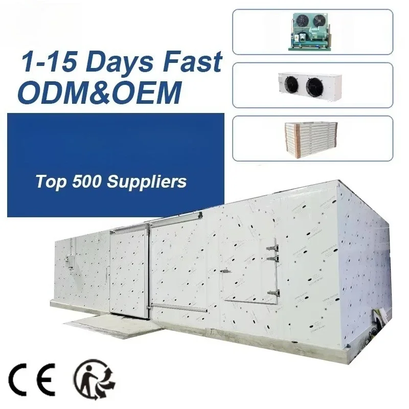 Customized Large Capacity Positive Negative Temperature Cold Room High Efficiency Food Cold Storage Equipment