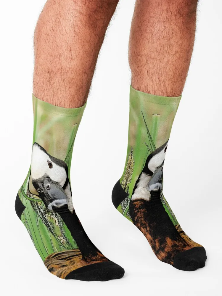 Whistling Duck Socks compression Climbing loose kawaii Mens Socks Women's