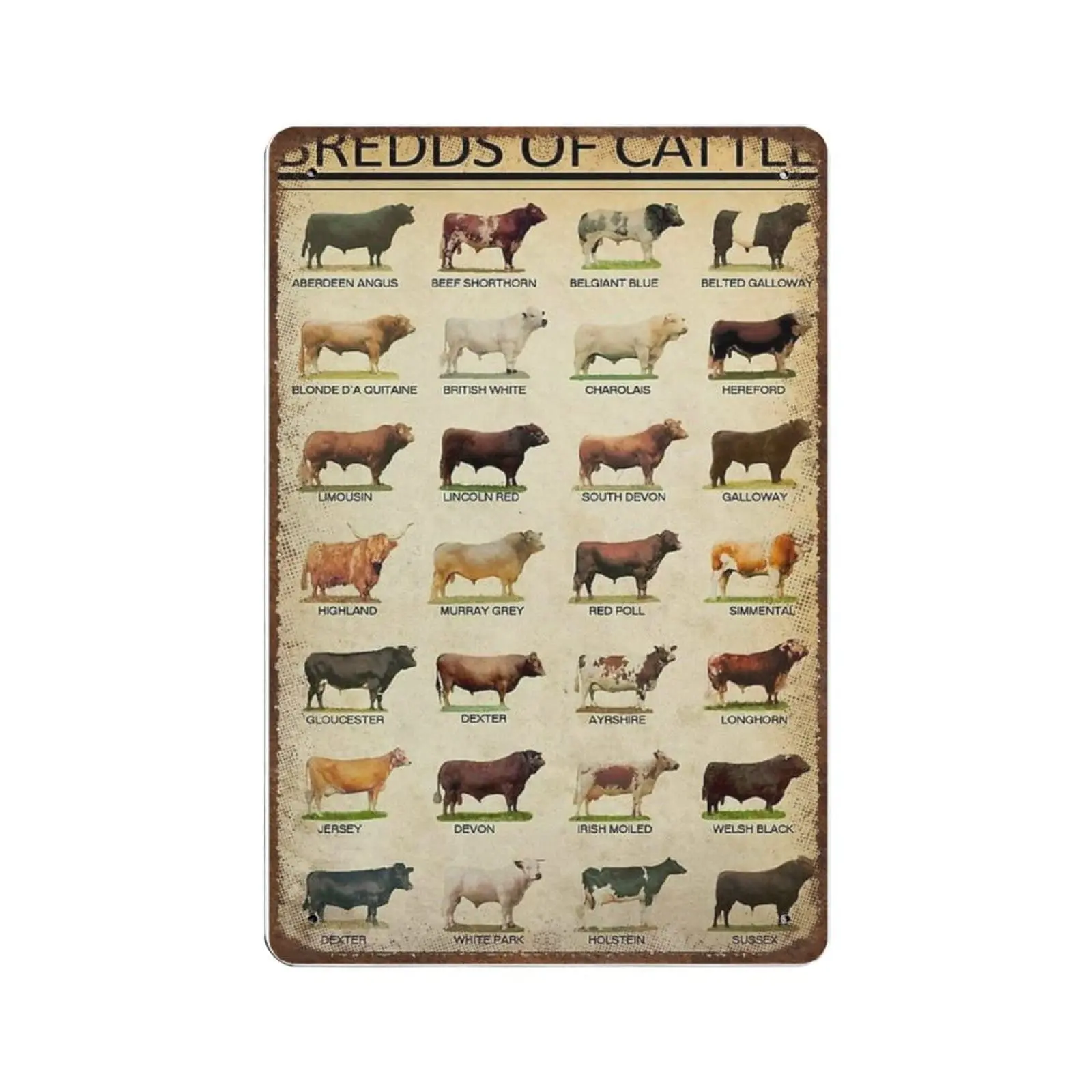 

Vintage Metal Tin Sign Plaque,Breeds of Beef Cattle Tin Sign,Man cave Pub Club Cafe Home Decor Plate，Birthday Anniversary Housew