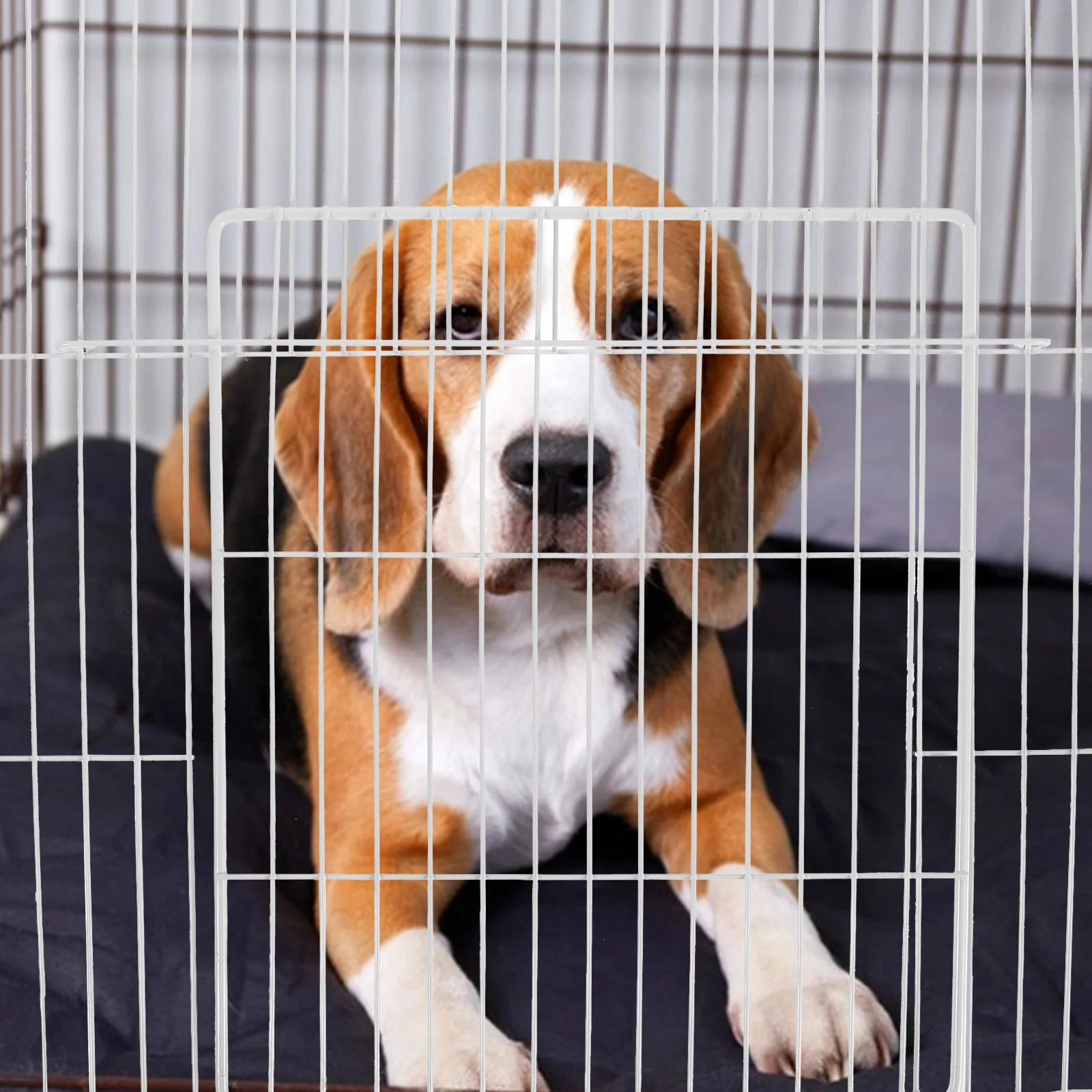 

Cat Cage Accessory Dense Mesh Metal Wire Panel 35x35cm Secure Indoor Outdoor Cat Villa Door Panel Replacement for Playpens