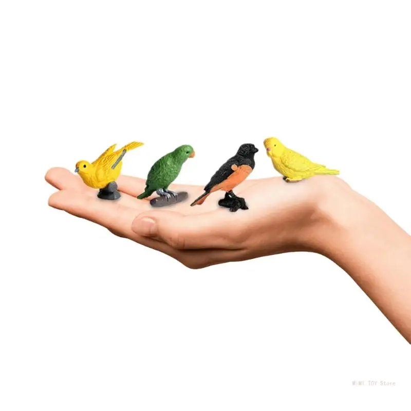 Miniaturas realistas loros flamencos, miniaturas educativas pájaros encantadores para niños