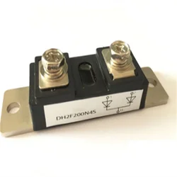 DH2F100N4S 2 Terminals Diode Module Schottky Bridge Rectifier 100A 200A 300A 400A 400V