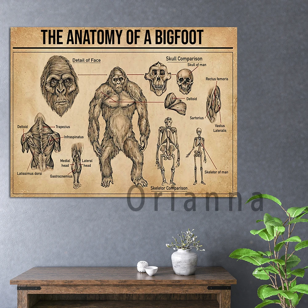 

The Anatomy Of A Bigfoot Poster, Bigfoot Knowledge Poster, Knowledge Poster, Bigfoot Lover, Vintage Bigfoot Wall Art Print