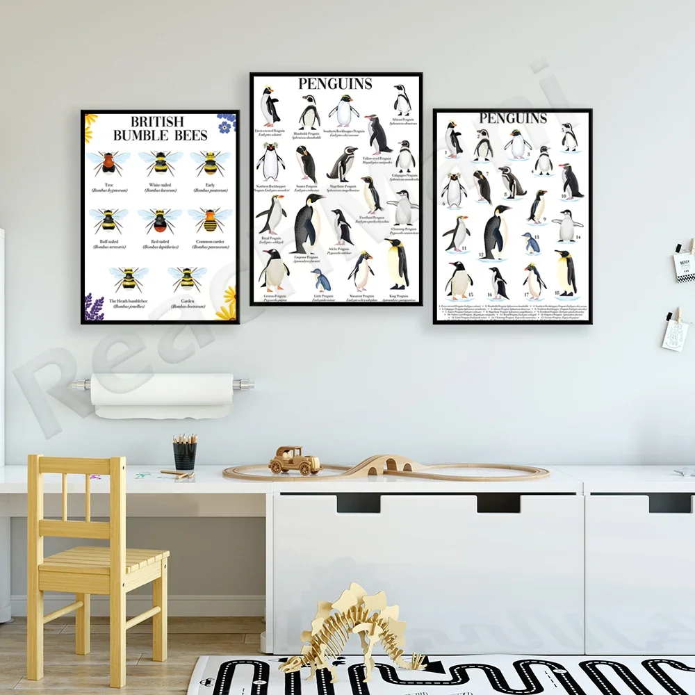 Penguin Poster | Illustrated Penguin, Wasp Print Wasp Illustration | Logo Poster, Natural History