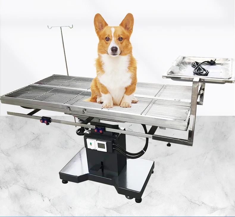 Medical Veterinary Groom Table Pet Cleaning Lifting Table for sale