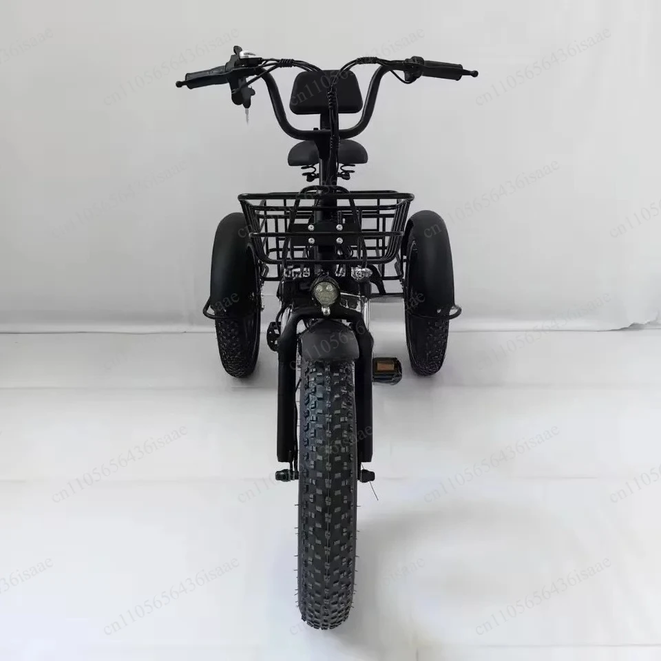 Adult 20 Inch Fat Tire Electric Trike, Snow Terrain Lithium Battery Pedal Tricycle