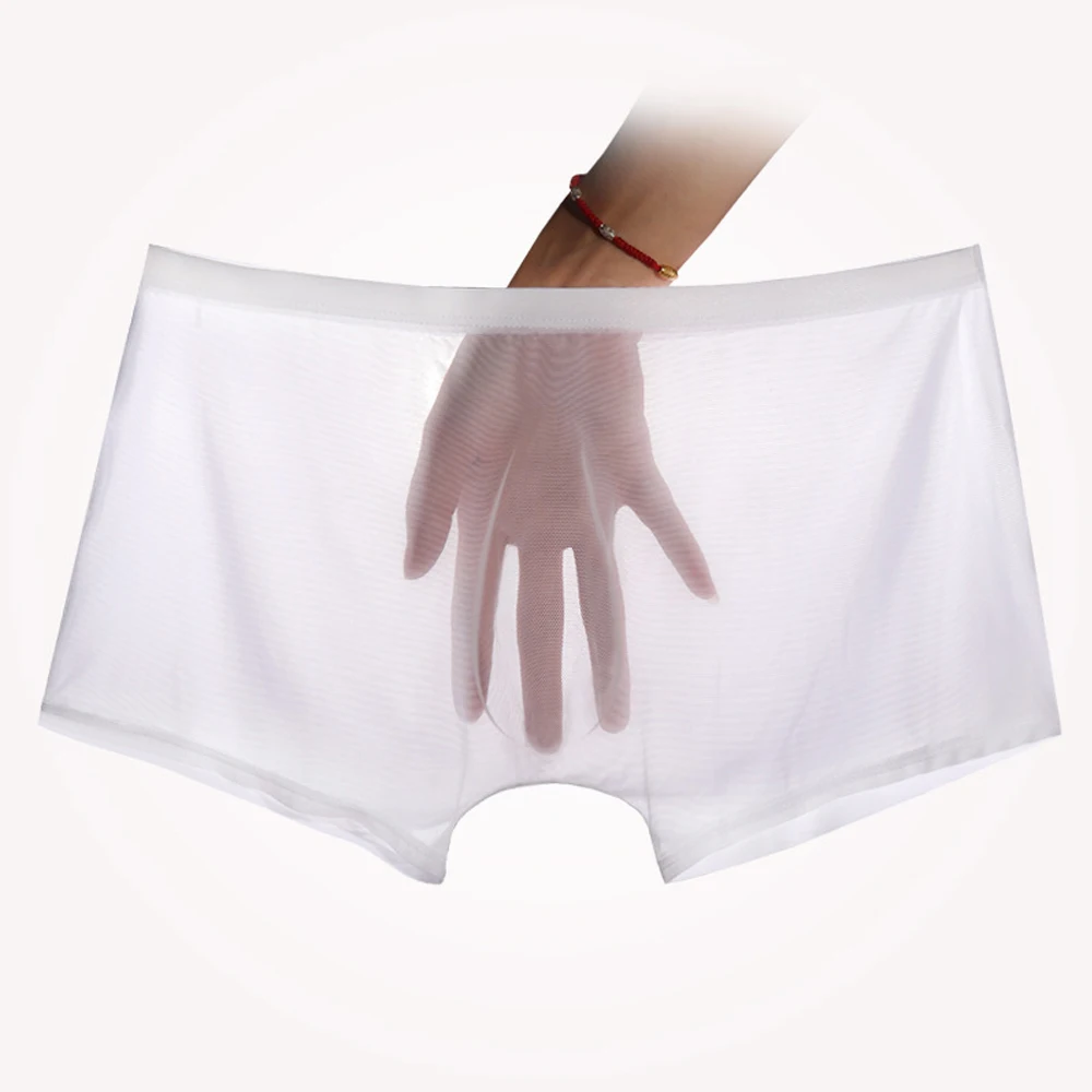 Herren unterwäsche transparente Boxer wölben Eisse ide sehen durch Unterhosen sexy Slips niedrige Taille Höschen Dessous intimates