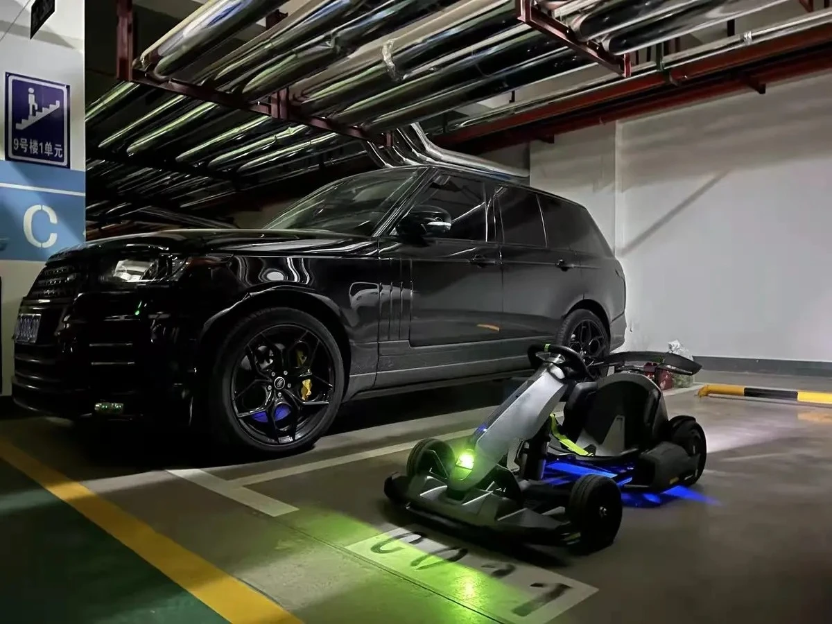 2025 عربة الذهاب الكهربائية الاحترافية عالية الجودة للبالغين للبيع #4