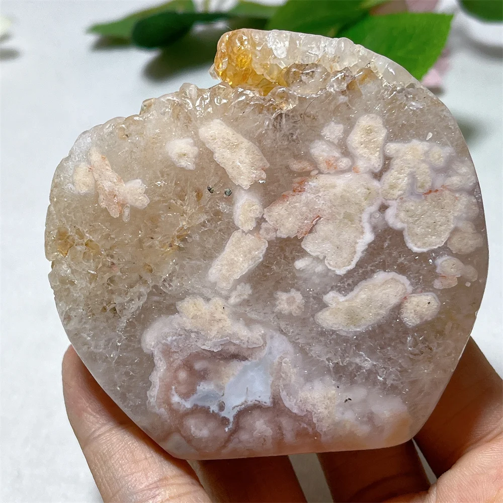 Pink Amethyst Flower Agate Point Druzy Natural Crystal Stone Quartz Energy Mineral Meditation Healing