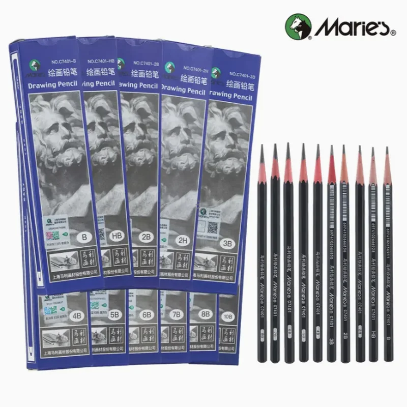 12pcs Sketch Pencils Graphite, Professional Sketching Pencil Set for Artists, Shading, Writing for Adults and Students