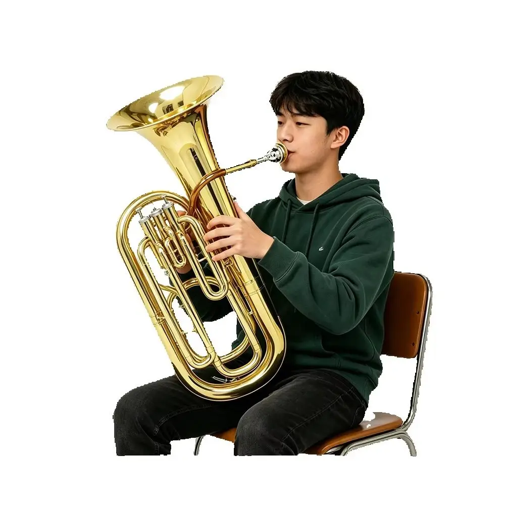 Bb Flat Euphonium Gold Body Silver 3-Valve Keys Euphonium Phosphor Copper Tenor Horn with Parts for Beginner Exam Performance