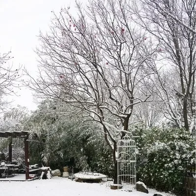 For Mazda 3 Cx4 Cx5…