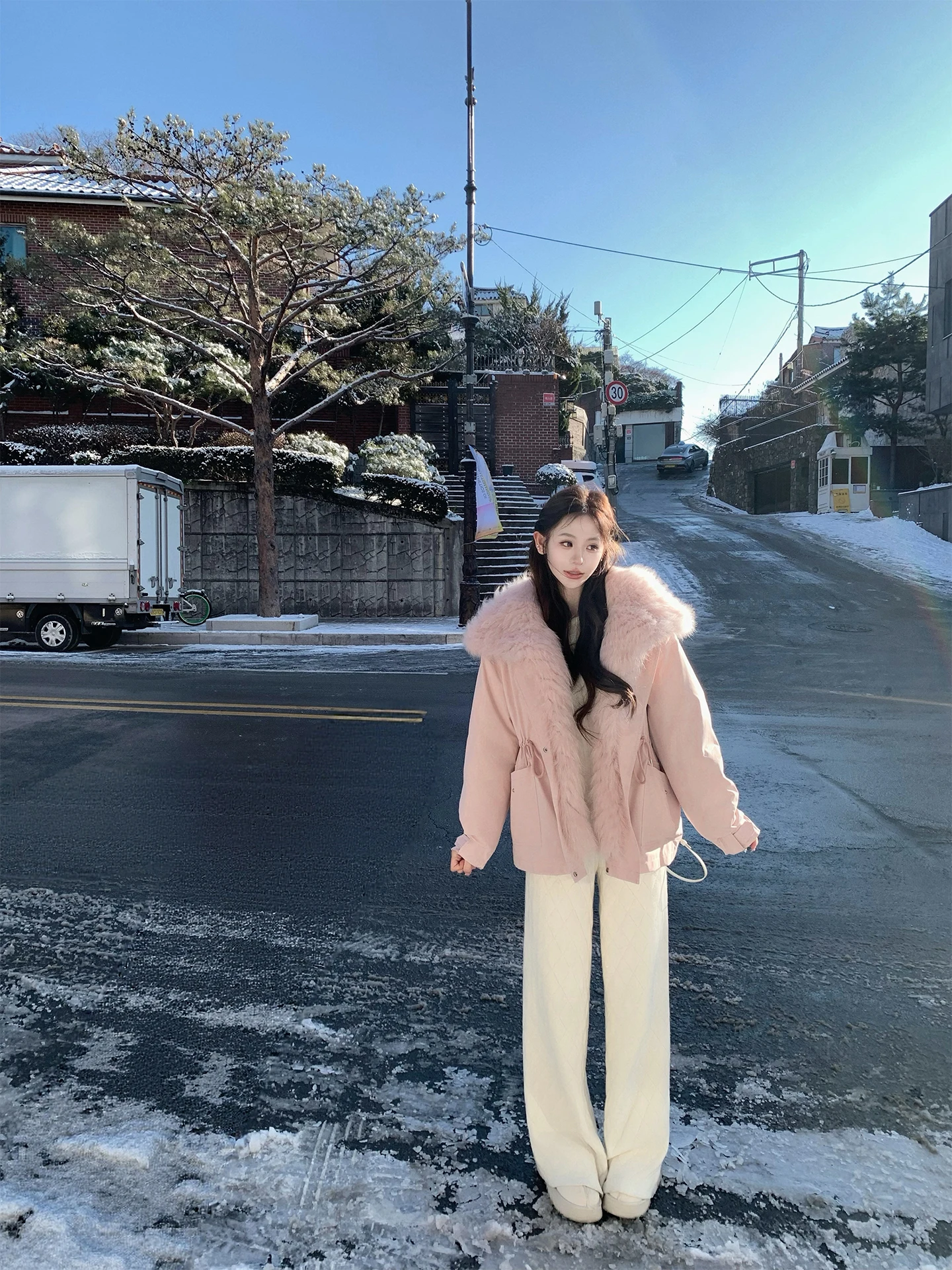 

High Waist Fce Lined Knitted Trousers Pinky Piggy Diamond Pattern Casual Straight Leg Pants for Women Daily Wear