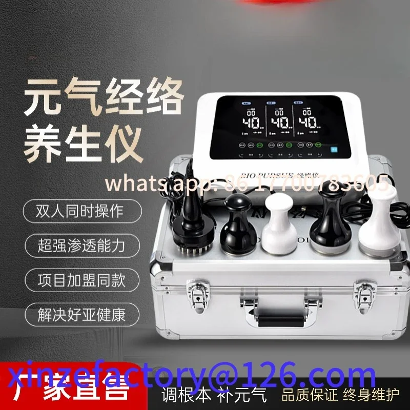 Customizable Vitality Meridian Instrument Value Plantation Length Unclogging Biological Micropulse Electricity