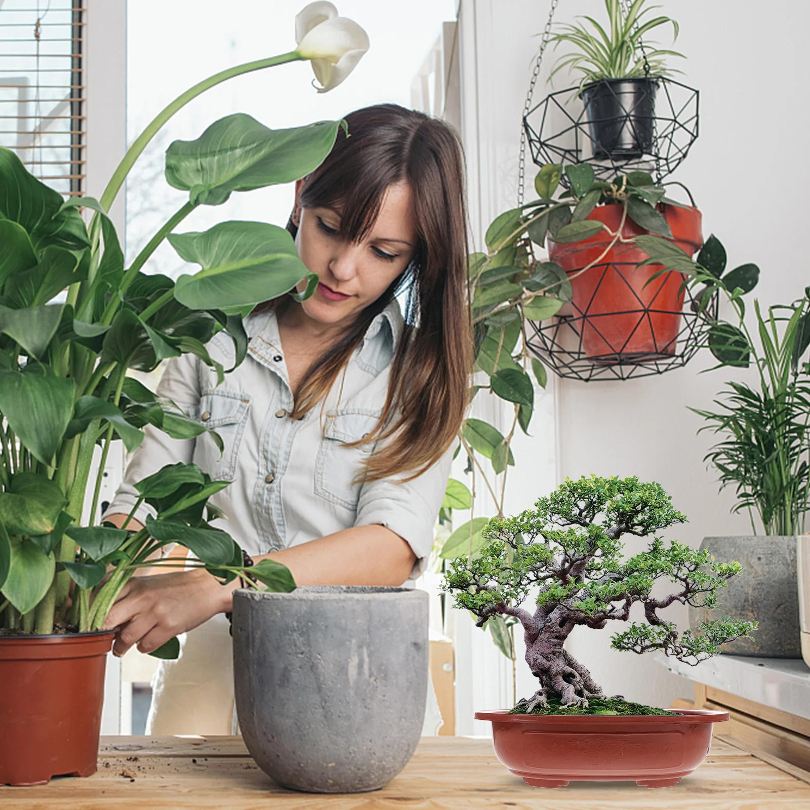 

4Pcs Thickened Plastic Bonsai Pots Large Planting Basins Suitable for Balcony Garden Indoor Succulent Plants Bonsai Tray