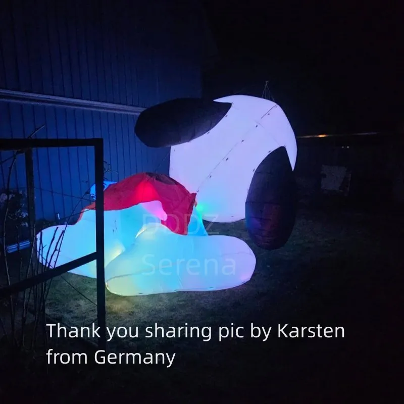 DDDZ 5M LED dog night kite and NO LED 5m dog kite 40D Ripstop Nylon Line Laundry Pendant Large soft Inflatable night show kite