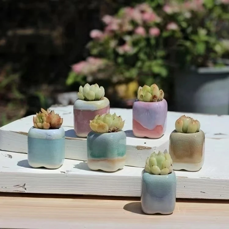 6Pcs Mini Flowerpot Succulents Small Succulent Plant Ceramics Flower Pots Home Mini Garden Bonsai Potted Planting color random - view 4