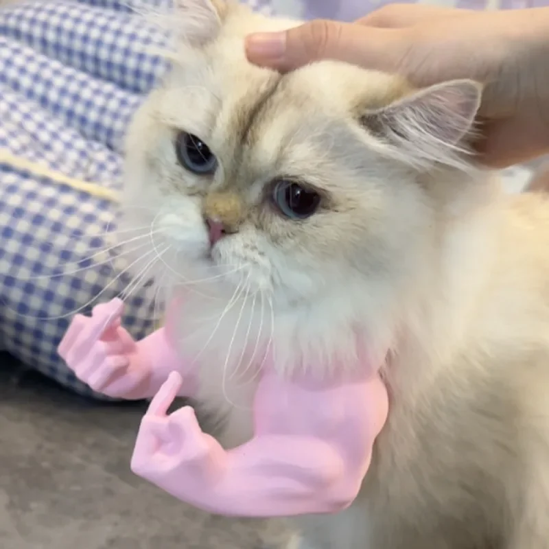 

Горячие забавные пальчиковые кошки, мышечные руки, легкий реалистичный кот, косплей, мышечные руки, 3D-печать, костюм кошки, вечеринка на Хэллоуин