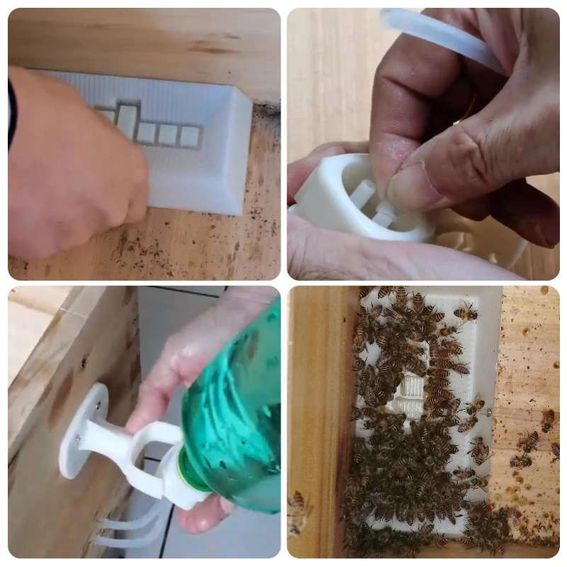 Alimentador de Apicultura en el interior de la colmena, herramienta de alimentación de plástico para miel y azúcar, suministros para abejas,