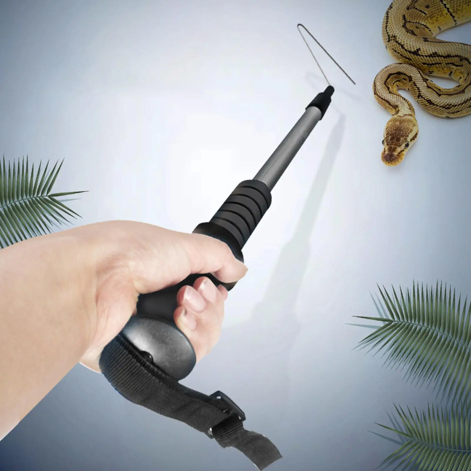 Extensible Telescoping Retractable Stainless Hook Reptile Hook Catcher for Ball