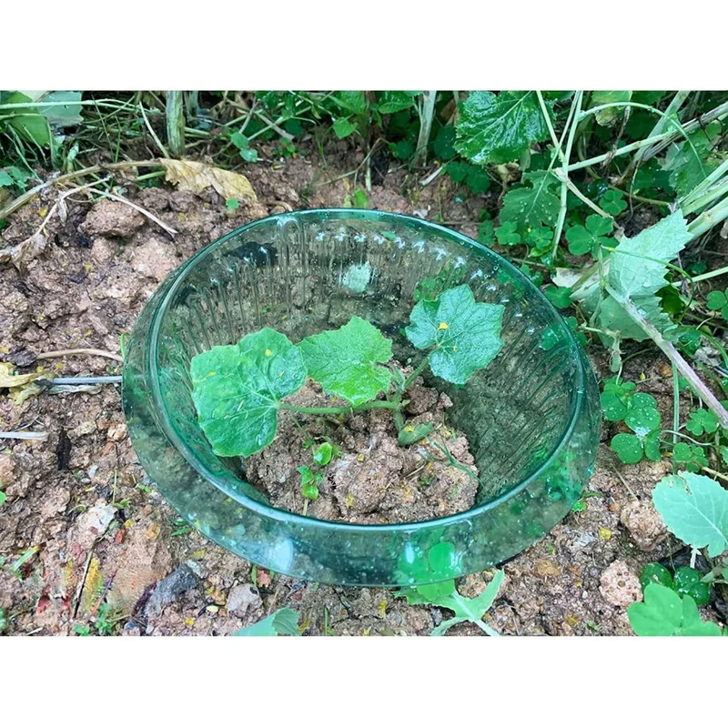 Planter Slug Collars For Outdoor Plants, Reusable Green/Transparent Slug Collar Barrier To Guard Plants Against Snails & Slugs