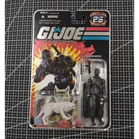 New Original Hasbro G.I.JOE SNAKE EYES WITH TIMBER Action Figure Model Toy Birthday Gift Collection