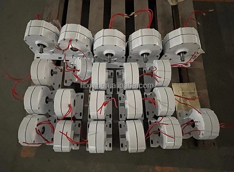 Penjualan Pabrik Laris FLYT 1kw 500Rpm 48V dengan Motor Inti Besi Generator Energi Gratis Generator Alternator Rpm Rendah Listrik Magnetik