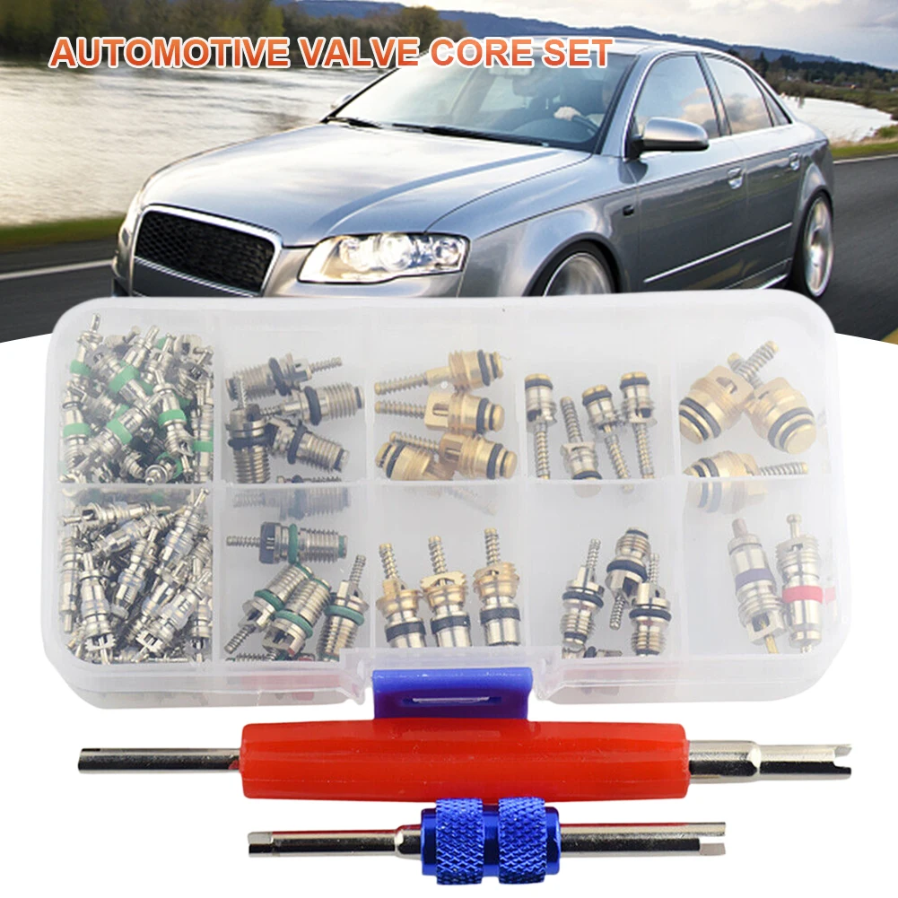 Car R134A A/C Auto Air Conditioning Valve Core with Case for Car Tire Assortment AC Shrader Valve Core for Buick Honda Ford BMW