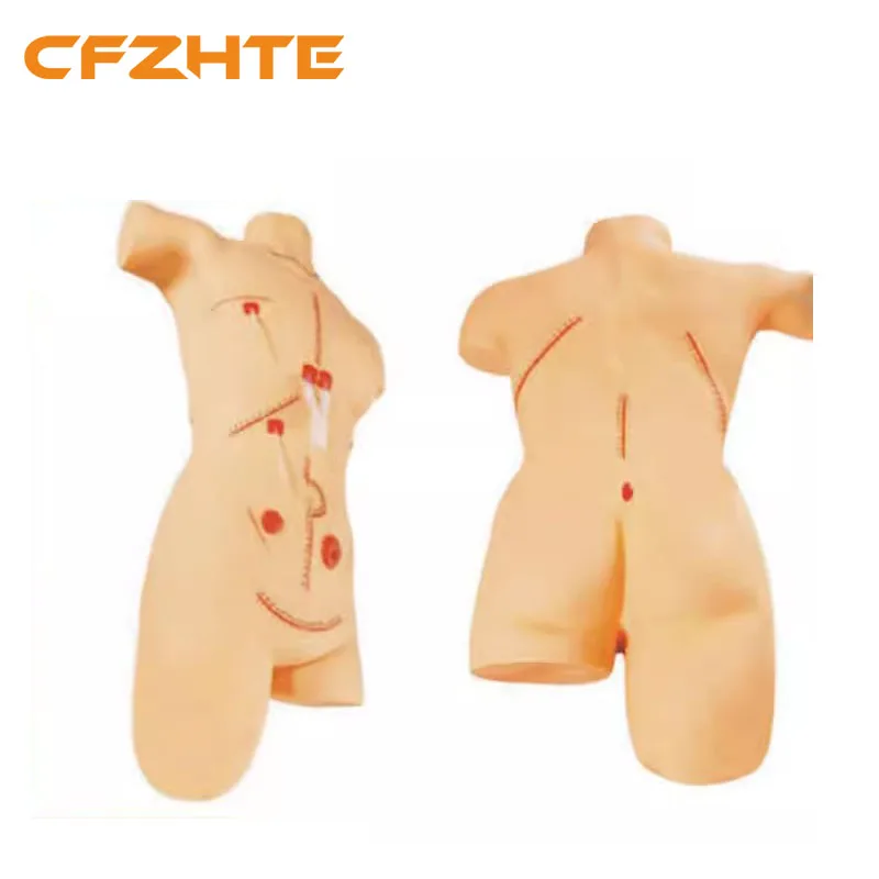 Surgical Suture and Bandaging Practice Model, Incision Suture Demo with Thread Removal and Dressing Change