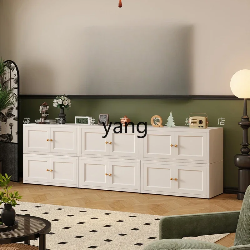 x'y'y steel formaldehyde-free TV cabinet living room household floor cabinet side cabinet