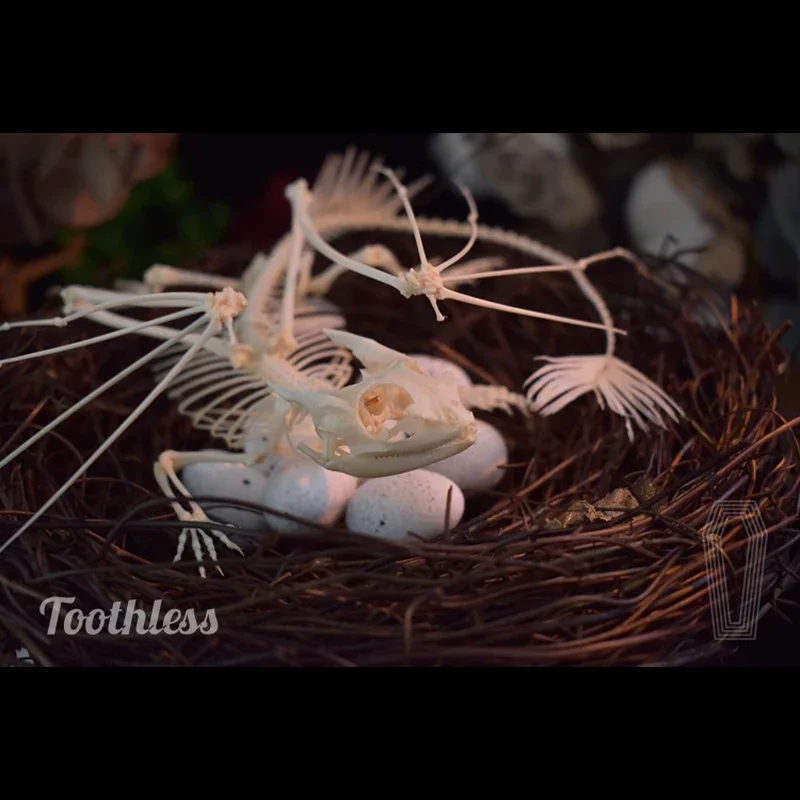 2125 Toothless Dragon Skeleton Replica Fantasy Art Craft Home Decor Ethical Collectible Animal Inspired Gift Science Dragon