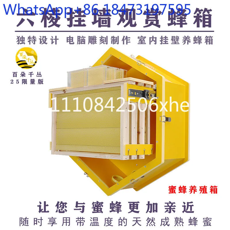 Wall-mounted beehive indoor beekeeping ornamental beehive patented transparent beehive live frame bee box
