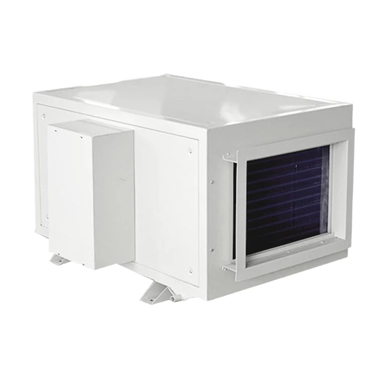 Silent Working Hitachi Compressor 220V Heavy Duty Ceiling Pool Dehumidifier 20L/10L/Hour Commercial Household Dehumidifier New
