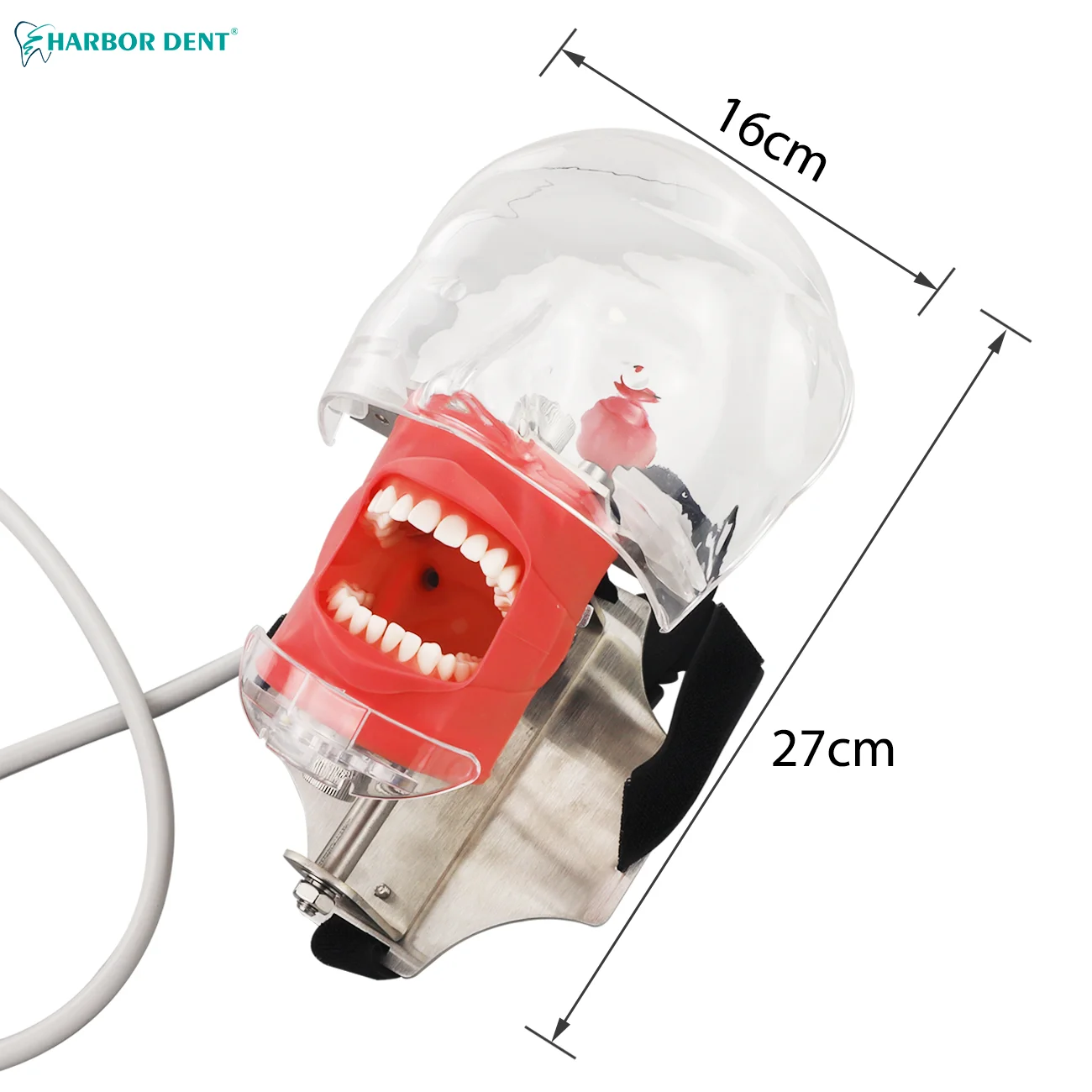 La testa del fantasma del simulatore dentale sostituisce il modello dei denti installato sul cuscino della sedia dell'odontoiatria per la pratica di insegnamento del dentista