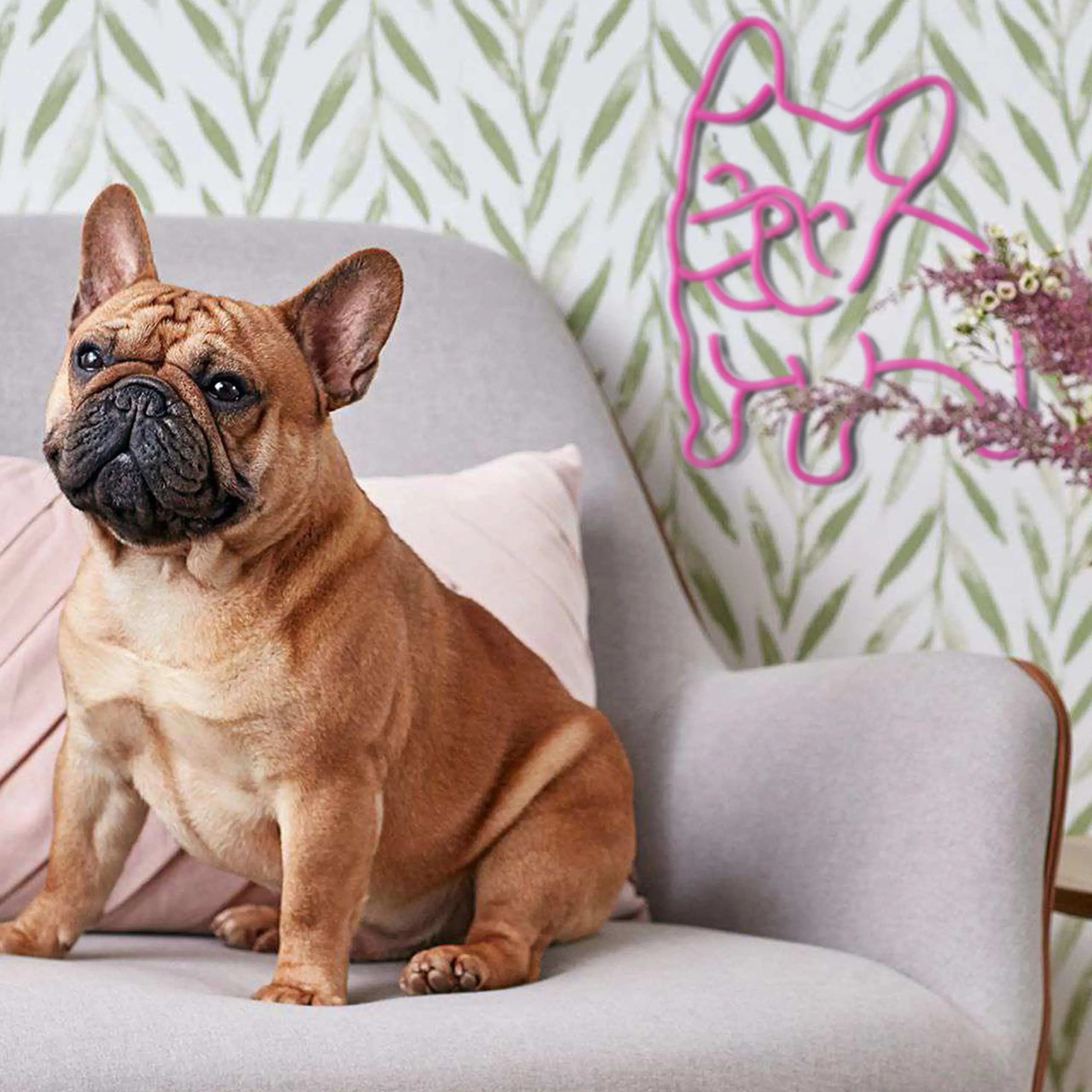 Enseigne au néon à Led bouledogue français, panneau personnalisé pour maison, chambre d'animal domestique, décoration murale, chambre d'enfant