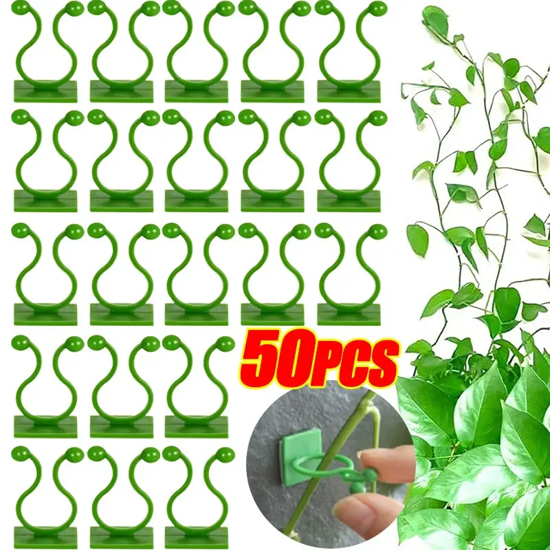 

5-50Pcs Plant Climbing Wall Fixture Clips Rattan Clamp Fixator Self-Adhesive Vine Buckle Hook Invisible Vine Binding Clip