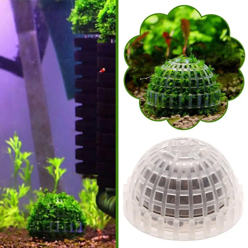 Aquarium Dekoration Pflanzen Bio Moos Ball Halter für Aquarium Kristall Rot Garnelen Haus Aquarium Dekor Filter Zubehör – Detail 6