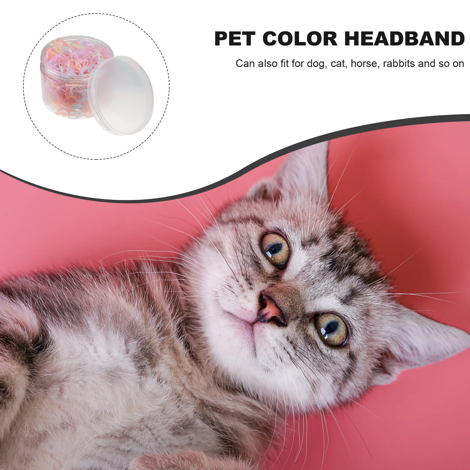 

1 Box Colorful Elastic Bands For Pets, Cute Pet Hair Ties Accessories For Dogs Cats Horses Rabbits, Pet Hair Ring Headdress Wear